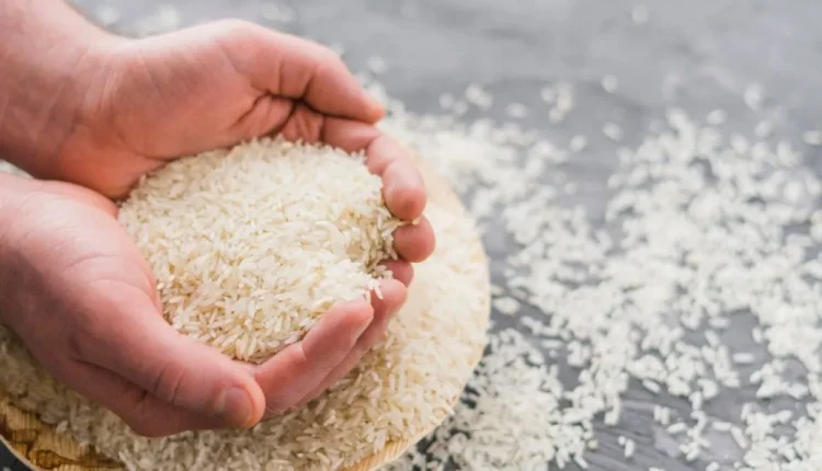 Duvidas de Português: qual o plural de "arroz"?