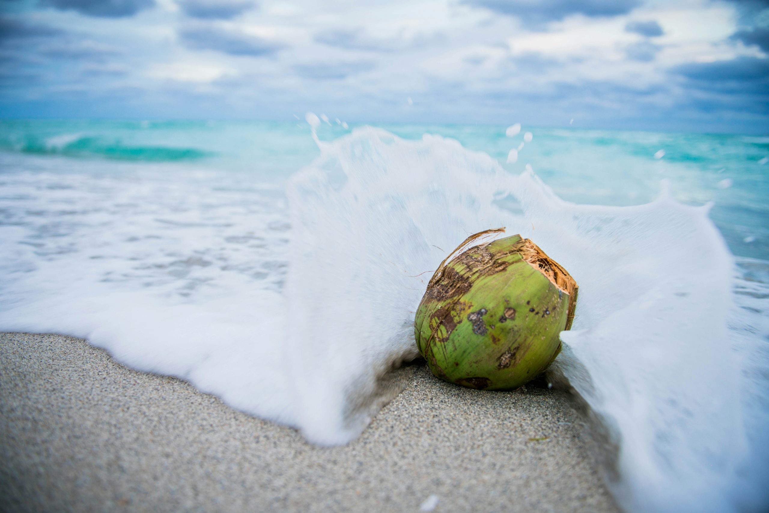 Coco, côco ou cocô? Acabe com as dúvidas de vez (Foto: Unsplash).