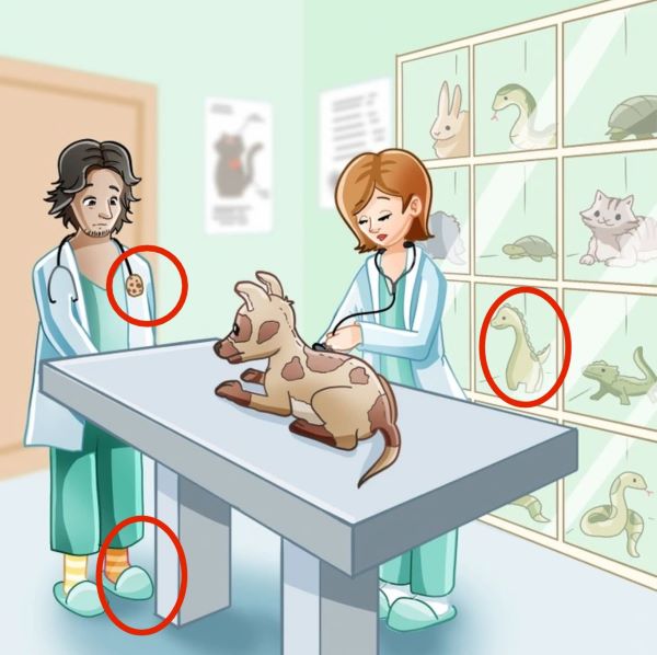 Resposta de onde estão os erros na clínica veterinária. 