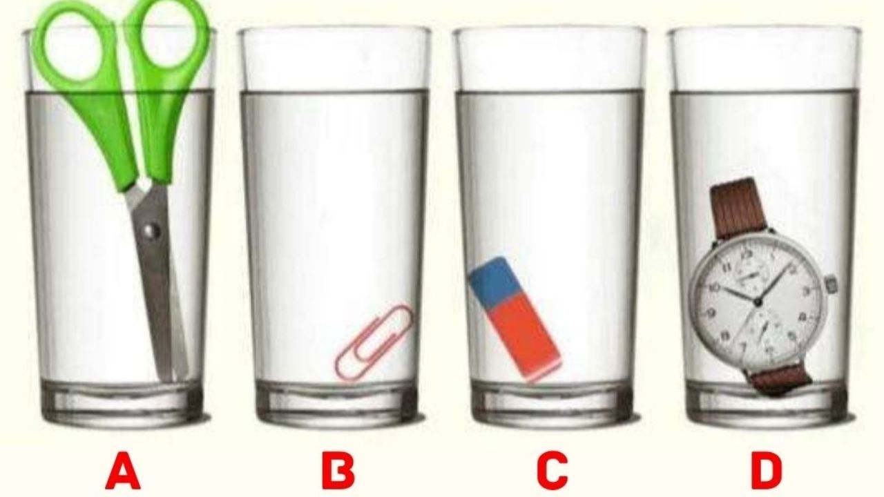 teste cerebral