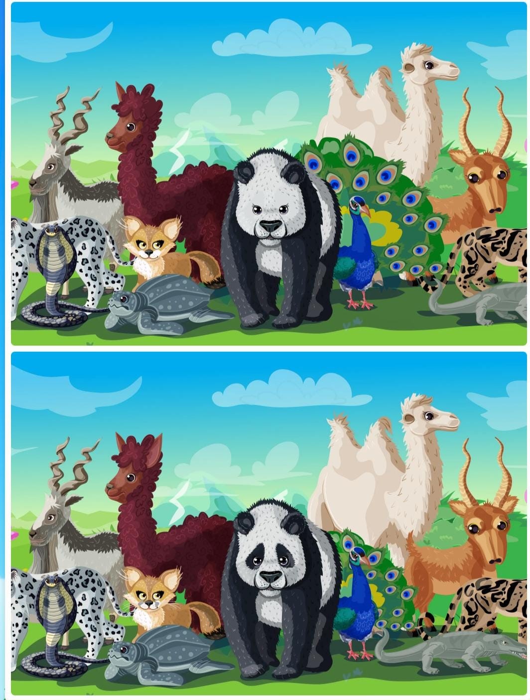 Jogo das diferenças no zoológico