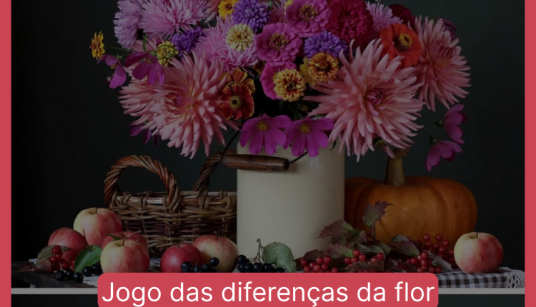 Jogo das diferenças da flor