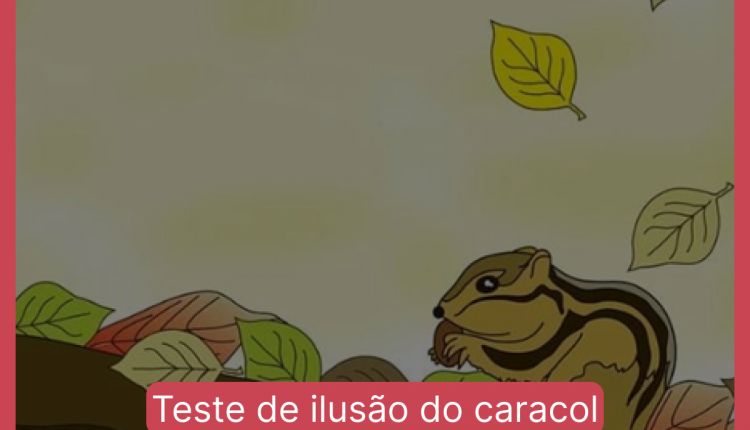 Teste de ilusão de ótica do caracol