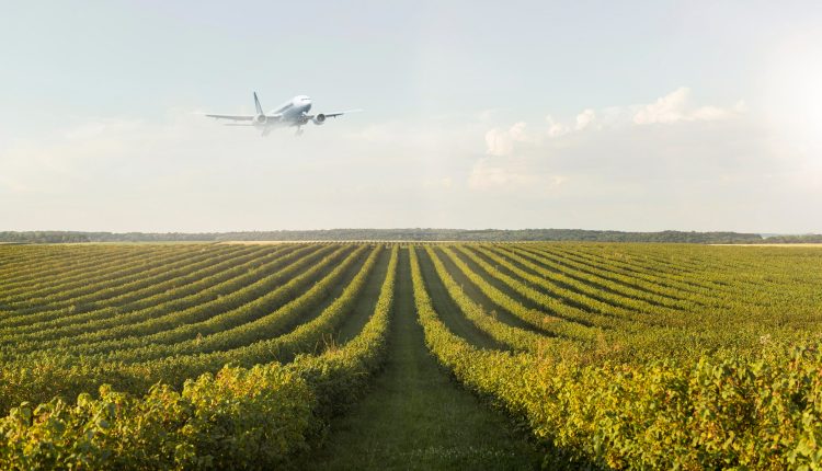 7 profissões para quem ama o campo!