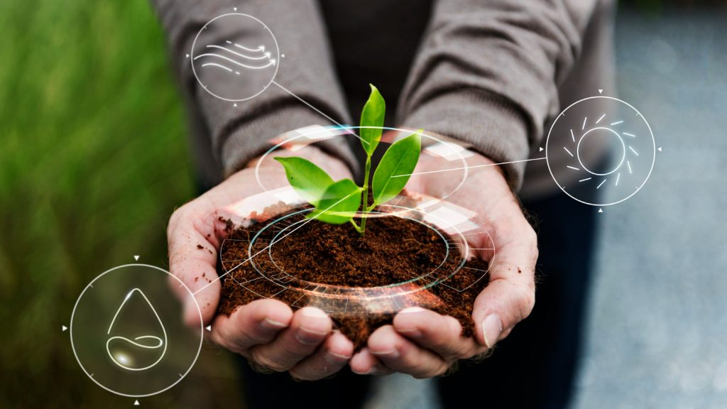 O agronegócio é uma das áreas que mais crescem no Brasil.