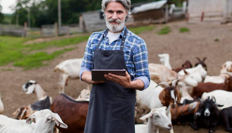 Gerente de agropecuária é uma das profissões que exige apenas ensino médio e que possui um excelente salário.