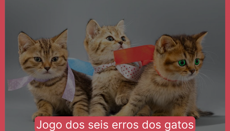 Jogo dos seis erros dos gatos: encontre seis diferenças entre as imagens e menos de 10 segundos