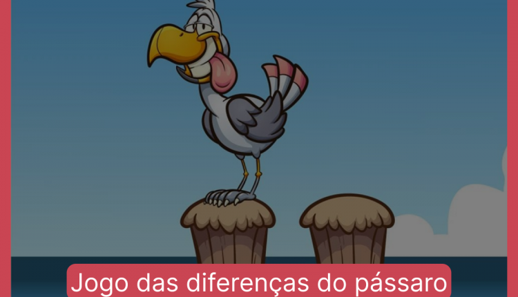 Jogo das diferenças do pássaro