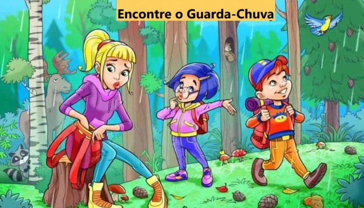 Teste de QI: encontre o guarda-chuva na floresta em 7 segundos!