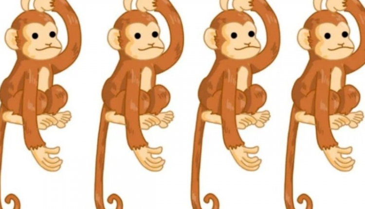 Encontre o macaco diferente neste desafio visual. Fonte: Jagran Josh.