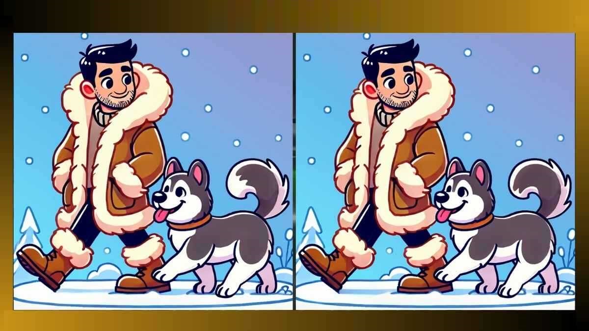 Desafio Visual: encontre 3 diferenças em 10 segundos do passeio na neve