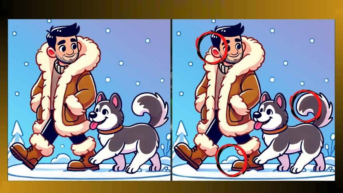 Desafio Visual: encontre 3 diferenças em 10 segundos do passeio na neve