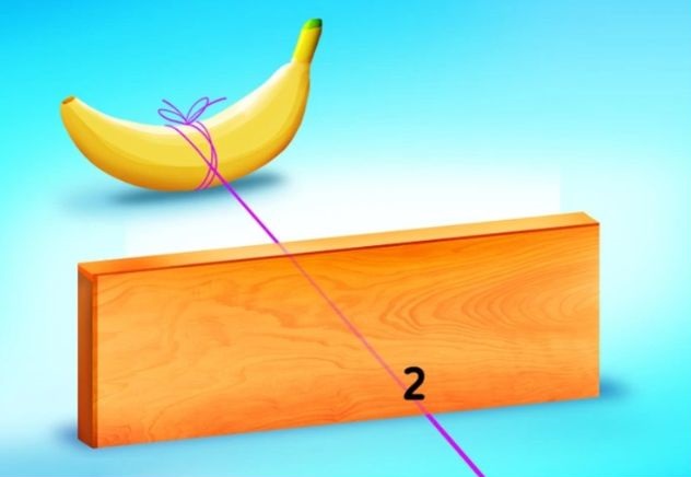 Resposta de qual corda está amarrada à banana. Fonte: Jagran Josh.