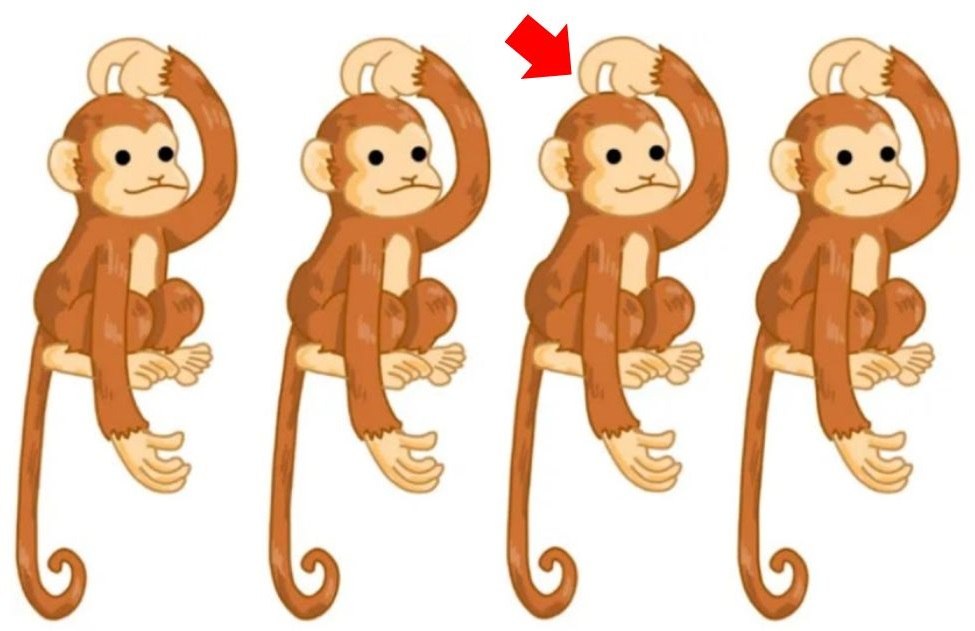 Resposta de qual macaco é diferente. Fonte: Jagran Josh.