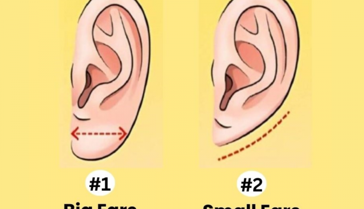 Teste de personalidade das orelhas. Fonte: Jagran Josh.