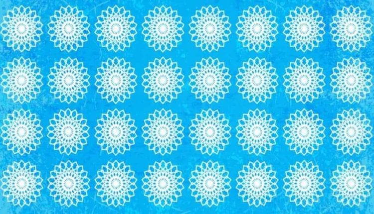 Desafio Visual: será que você consegue encontrar a mandala em 10 segundos?