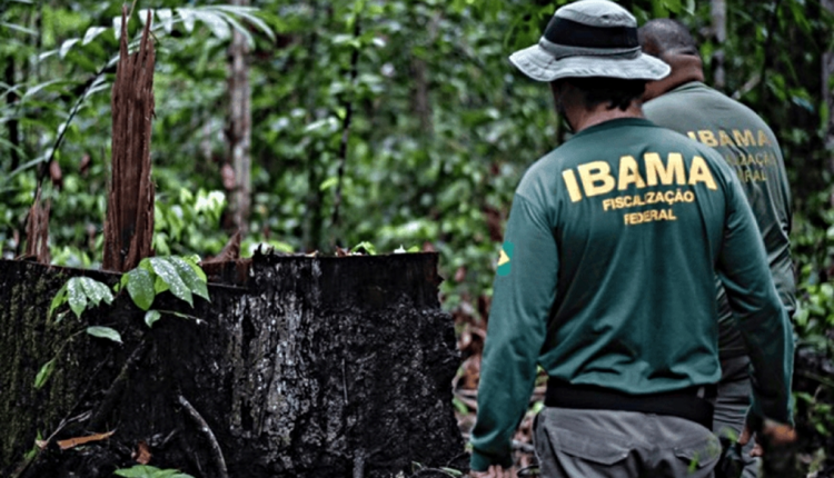 Processo Seletivo do IBAMA.