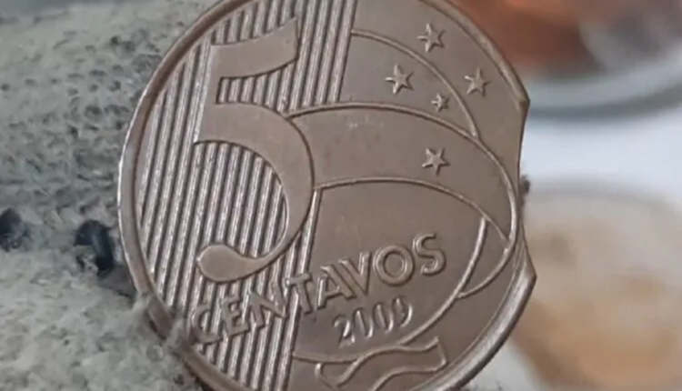 Moeda centavos com disco cortado