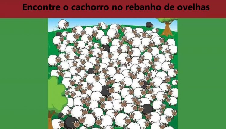 Raciocínio Lógico: encontre o cachorro no rebanho de ovelhas