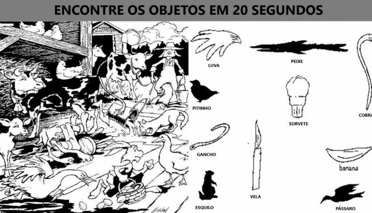 Ilusão de Ótica: será que você consegue encontrar esses objetos em 20 segundos?