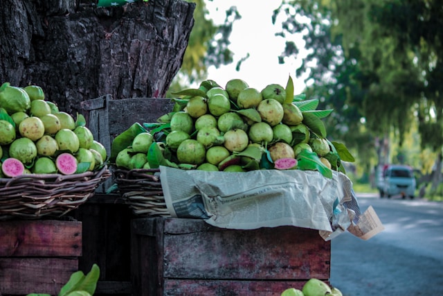 Foto de ossama safi na Unsplash