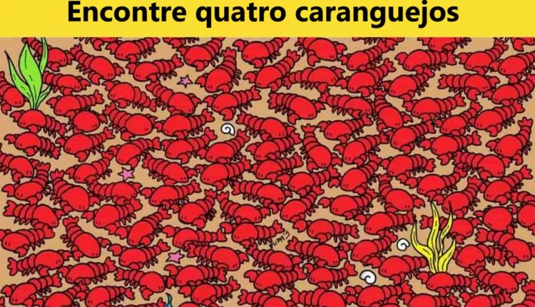 Teste de QI: será que você consegue encontrar 4 caranguejos em 10 segundos?