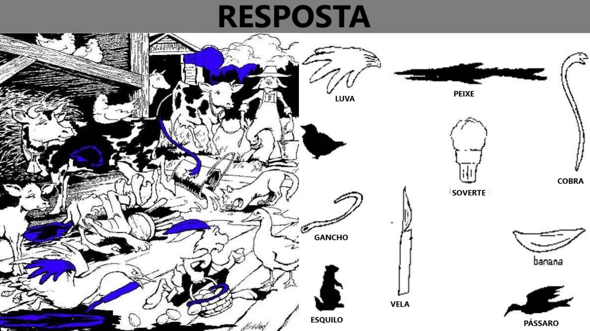 Ilusão de Ótica: será que você consegue encontrar esses objetos em 20 segundos?