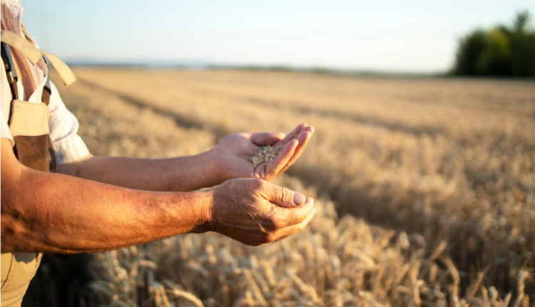 Alguns setores da economia como o agronegócio e infraestrutura se destacam como potenciais impulsionadores de novas contratações em 2025. Imagem: Freepik