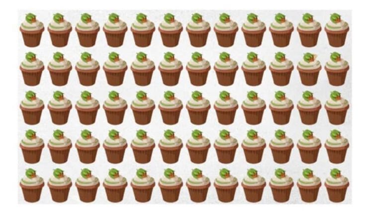 Desafio Visual: descubra qual o cupcake diferente em 10 segundos