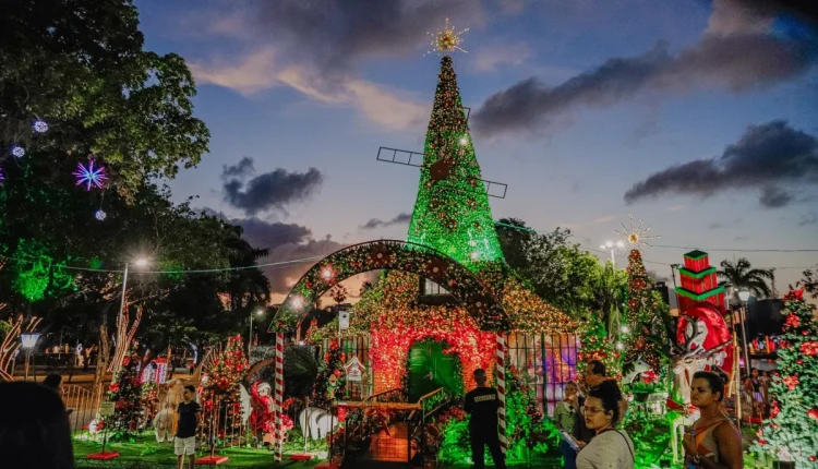 Moeda de real do beija flor pode render até R$ 7.000 no natal