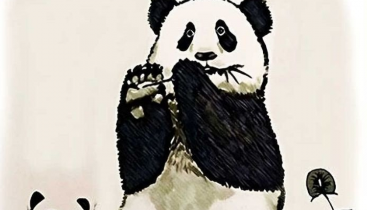 Desafio visual dos pandas. Fonte: Jagran Josh.