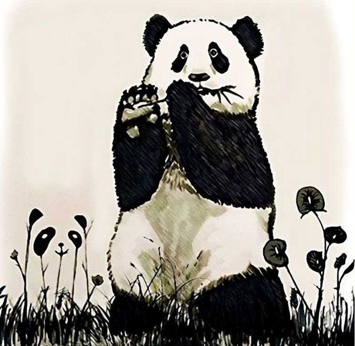 Desafio visual dos pandas. Fonte: Jagran Josh.