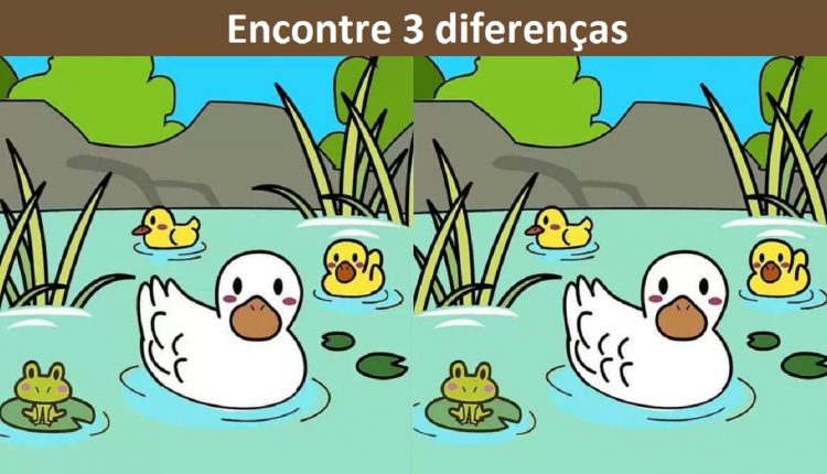 Raciocínio Lógico: encontre 3 diferenças entre as imagens dos patos