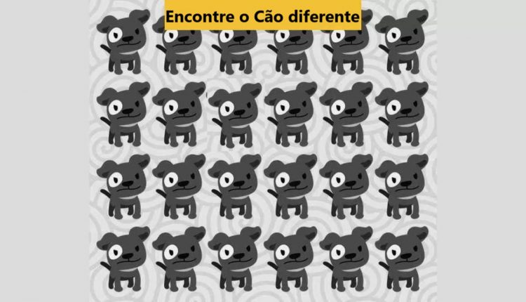 Desafio Visual: encontre o cachorro estranho em 5 segundos