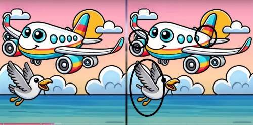 Encontre 3 diferenças no avião