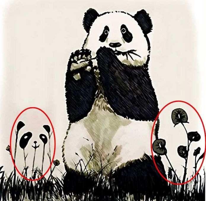 Resposta do desafio visual dos pandas. Fonte: Jagran Josh.