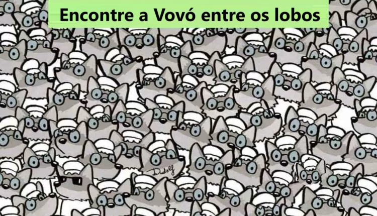 Teste de QI: encontre a vovó entre os lobos em 5 segundos