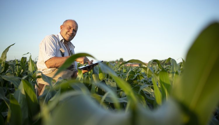 Profissões do agronegócio em alta 2025.