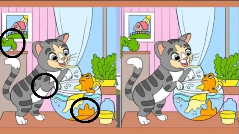 Teste de QI: descubra quais as 3 diferenças na imagem do gatinho em 20 segundos