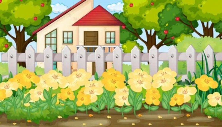 Desafio visual com ilustração de uma casa com flores amarelas no jardim e uma cerca branca, com árvores ao fundo.