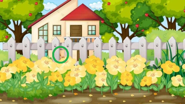 Solução do desafio visual com ilustração de uma casa com flores amarelas no jardim e uma cerca branca, com árvores ao fundo.