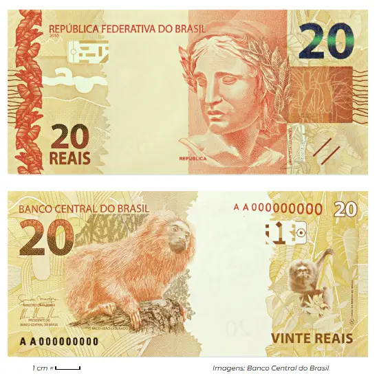 Frente e verso da cédula de 20 Reais, com imagem da República Brasileira e o mico-leão-dourado