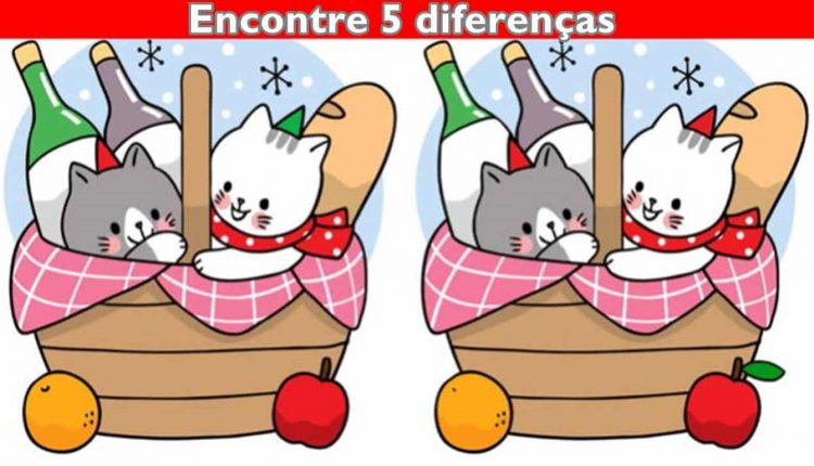 Desafio visual com comparação de duas cestas contendo gatos, garrafas de vinho e baguetes, com diferenças ocultas.