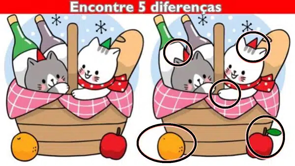 Solução do desafio visual com comparação de duas cestas contendo gatos, garrafas de vinho e baguetes, com diferenças ocultas.