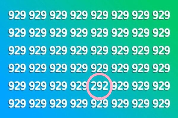 Solução do desafio visual com a imagem com várias repetições do número 929, criando um desafio visual para encontrar um número diferente.