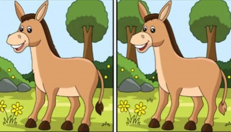 Desafio visual com duas imagens de um burrinho em um cenário natural, apresentando pequenas diferenças entre elas