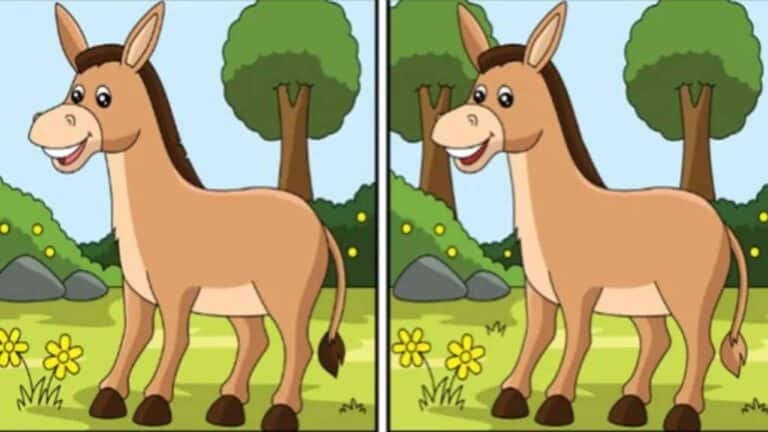 Desafio visual com duas imagens de um burrinho em um cenário natural, apresentando pequenas diferenças entre elas