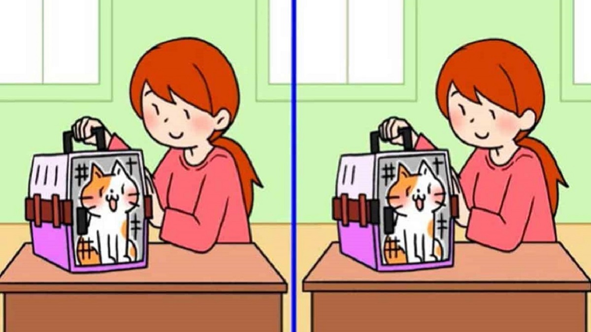 Ilustração de uma menina segurando uma caixa de transporte com um gato dentro, em um desafio de encontrar as diferenças.