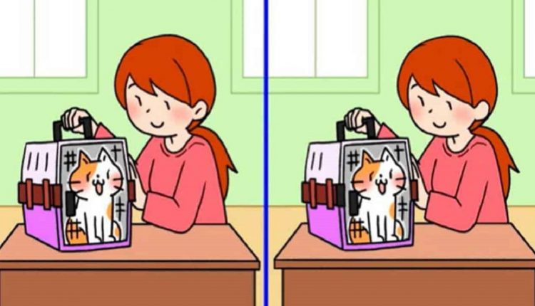 Desafio visual com Ilustração de uma menina segurando uma caixa de transporte com um gato dentro, em um desafio de encontrar as diferenças.