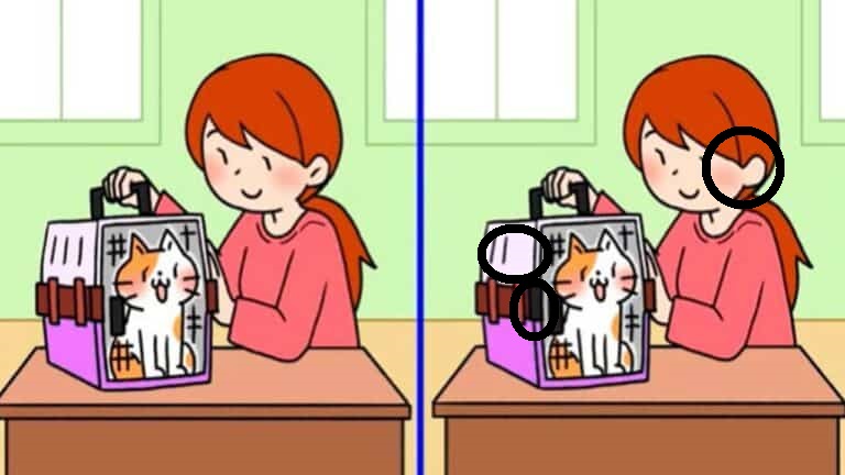 Solução do desafio visual com Ilustração de uma menina sorrindo ao segurar uma caixa de transporte com um gato dentro, em um jogo de diferenças.